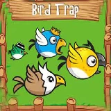 Bird Trap