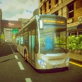 Town Bus Driver