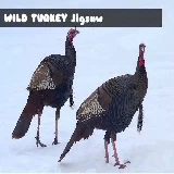 Wild Turkey Jigsaw